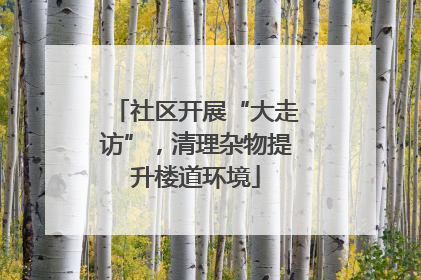 社区开展“大走访”，清理杂物提升楼道环境