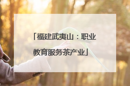 福建武夷山：职业教育服务茶产业