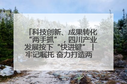 科技创新、成果转化“两手抓”，四川产业发展按下“快进键”丨牢记嘱托 奋力打造两高地两基地一屏障