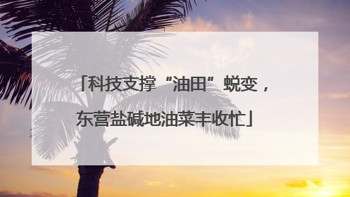 科技支撑“油田”蜕变，东营盐碱地油菜丰收忙