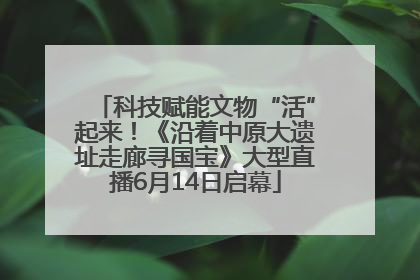 科技赋能文物“活”起来！《沿着中原大遗址走廊寻国宝》大型直播6月14日启幕