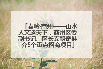 秦岭·商州——山水人文邀天下，商州区委副书记、区长支朝奇推介5个重点招商项目