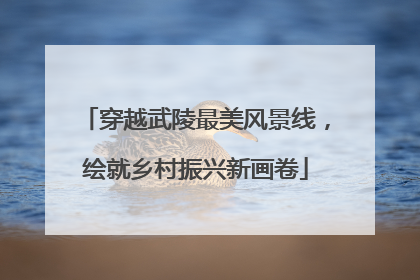 穿越武陵最美风景线，绘就乡村振兴新画卷