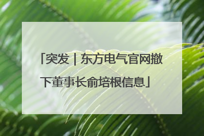 突发｜东方电气官网撤下董事长俞培根信息