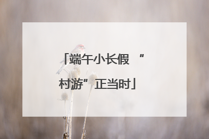 端午小长假 “村游”正当时
