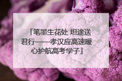 笔墨生花处 坦途送君行——孝汉应高速暖心护航高考学子