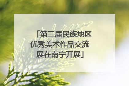 第三届民族地区优秀美术作品交流展在南宁开展