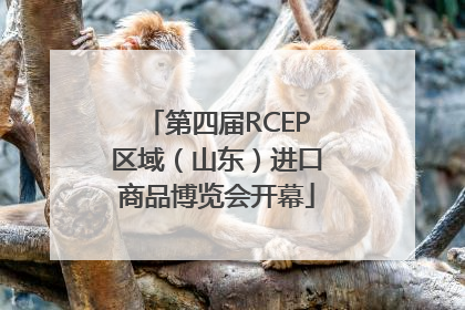 第四届RCEP区域（山东）进口商品博览会开幕