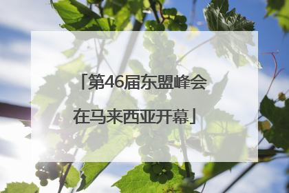 第46届东盟峰会在马来西亚开幕