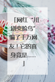 网红“川剧变脸鸟”骗了千万网友！它的真身竟是……