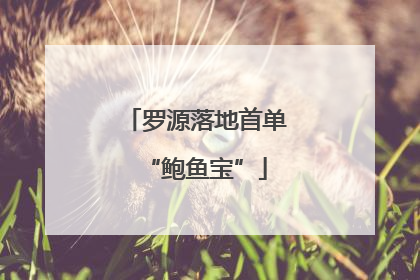 罗源落地首单“鲍鱼宝”