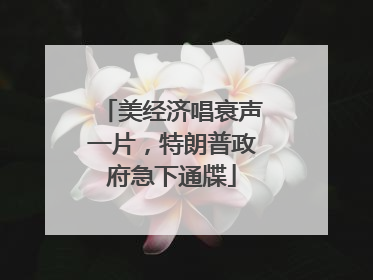 美经济唱衰声一片，特朗普政府急下通牒