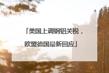 美国上调钢铝关税，欧盟德国最新回应