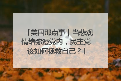 美国那点事｜当悲观情绪弥漫党内，民主党该如何拯救自己？