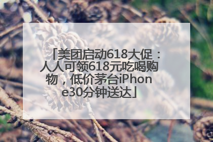 美团启动618大促：人人可领618元吃喝购物，低价茅台iPhone30分钟送达