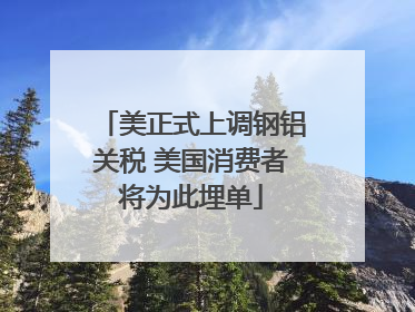 美正式上调钢铝关税 美国消费者将为此埋单