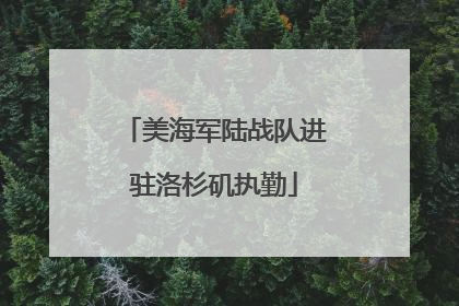 美海军陆战队进驻洛杉矶执勤