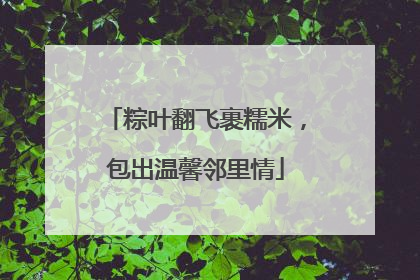 粽叶翻飞裹糯米，包出温馨邻里情