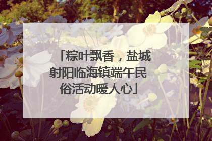粽叶飘香，盐城射阳临海镇端午民俗活动暖人心