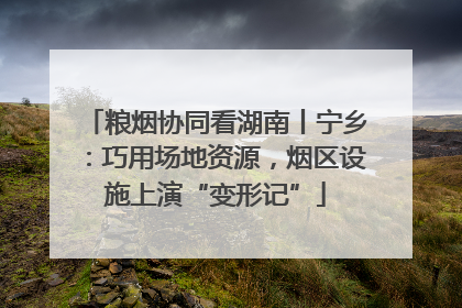 粮烟协同看湖南丨宁乡：巧用场地资源，烟区设施上演“变形记”