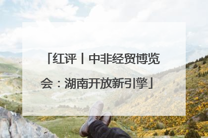 红评丨中非经贸博览会：湖南开放新引擎