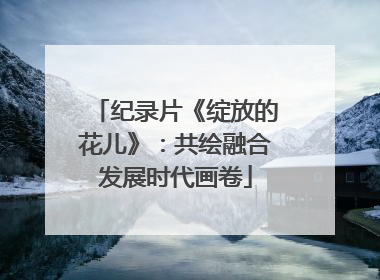 纪录片《绽放的花儿》：共绘融合发展时代画卷