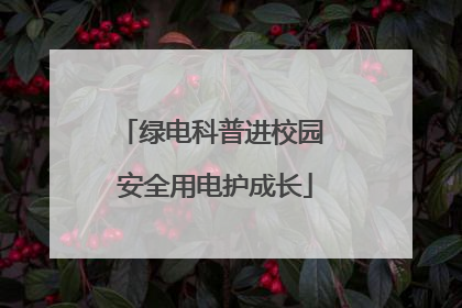 绿电科普进校园 安全用电护成长