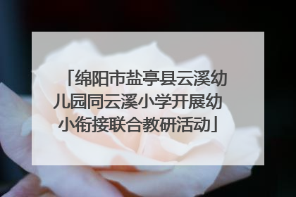 绵阳市盐亭县云溪幼儿园同云溪小学开展幼小衔接联合教研活动
