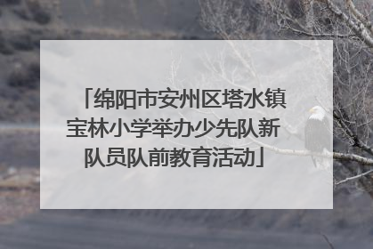 绵阳市安州区塔水镇宝林小学举办少先队新队员队前教育活动