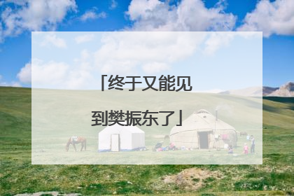 终于又能见到樊振东了