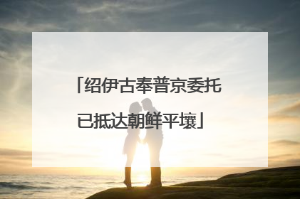 绍伊古奉普京委托已抵达朝鲜平壤