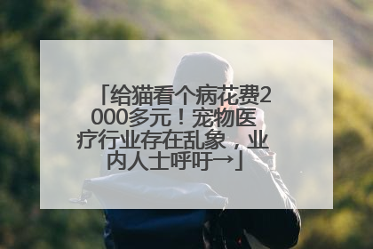 给猫看个病花费2000多元！宠物医疗行业存在乱象，业内人士呼吁→