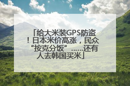 给大米装GPS防盗！日本米价高涨，民众“按克分饭”……还有人去韩国买米