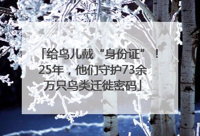 给鸟儿戴“身份证”！25年，他们守护73余万只鸟类迁徙密码