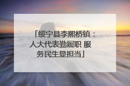 绥宁县李熙桥镇：人大代表勤履职 服务民生显担当