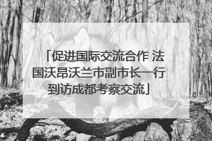 促进国际交流合作 法国沃昂沃兰市副市长一行到访成都考察交流