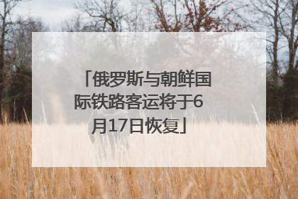 俄罗斯与朝鲜国际铁路客运将于6月17日恢复