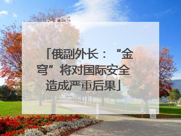 俄副外长：“金穹”将对国际安全造成严重后果