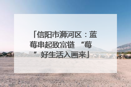 信阳市浉河区：蓝莓串起致富链 “莓”好生活入画来