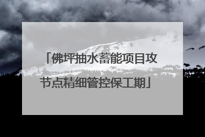 佛坪抽水蓄能项目攻节点精细管控保工期