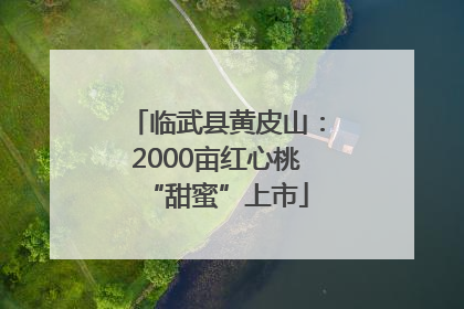 临武县黄皮山：2000亩红心桃“甜蜜”上市