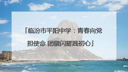 临汾市平阳中学：青春向党担使命 团徽闪耀践初心