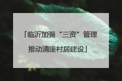 临沂加强“三资”管理 推动清廉村居建设