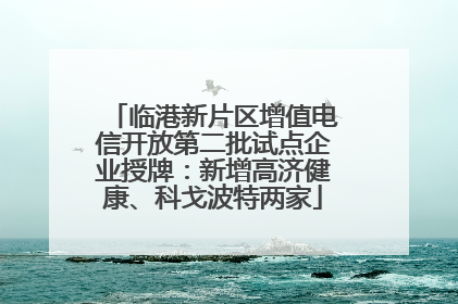 临港新片区增值电信开放第二批试点企业授牌：新增高济健康、科戈波特两家
