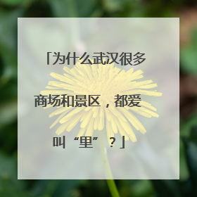 为什么武汉很多商场和景区，都爱叫“里”？
