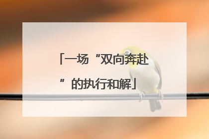 一场“双向奔赴”的执行和解
