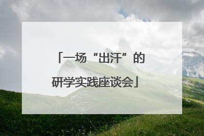 一场“出汗”的研学实践座谈会