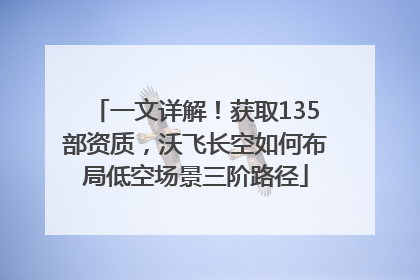 一文详解！获取135部资质，沃飞长空如何布局低空场景三阶路径