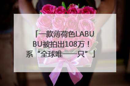 一款薄荷色LABUBU被拍出108万！系“全球唯一一只”