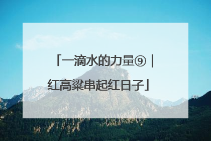 一滴水的力量⑨｜红高粱串起红日子